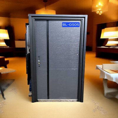 BL-GS05 City Home Style Security Door