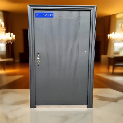 BL-G501 Budget Choice Security Door