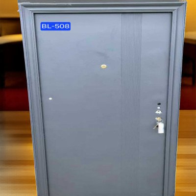 BL-508 Budget Choice Security door